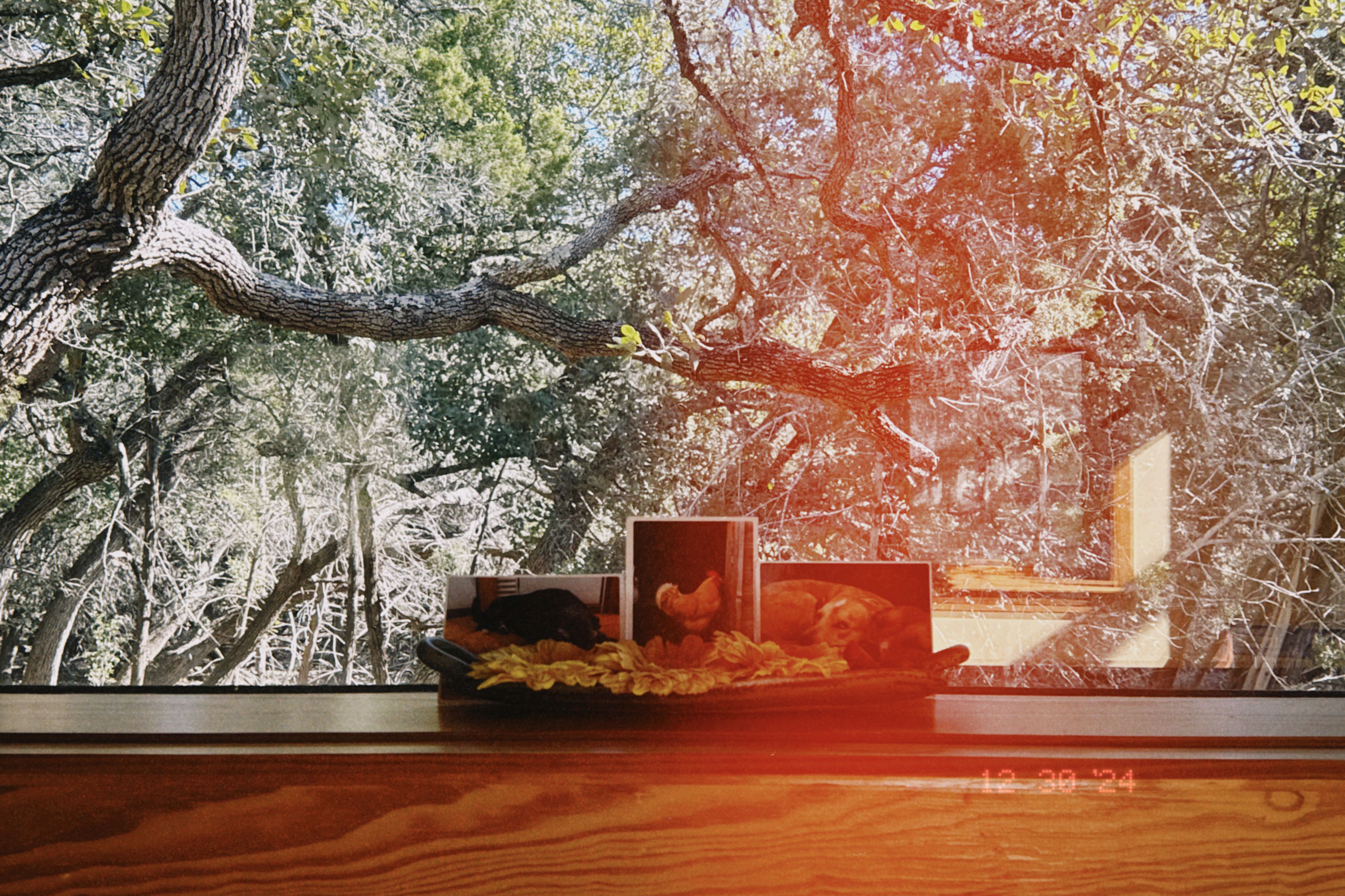 Rainbow Ranch Photo 3