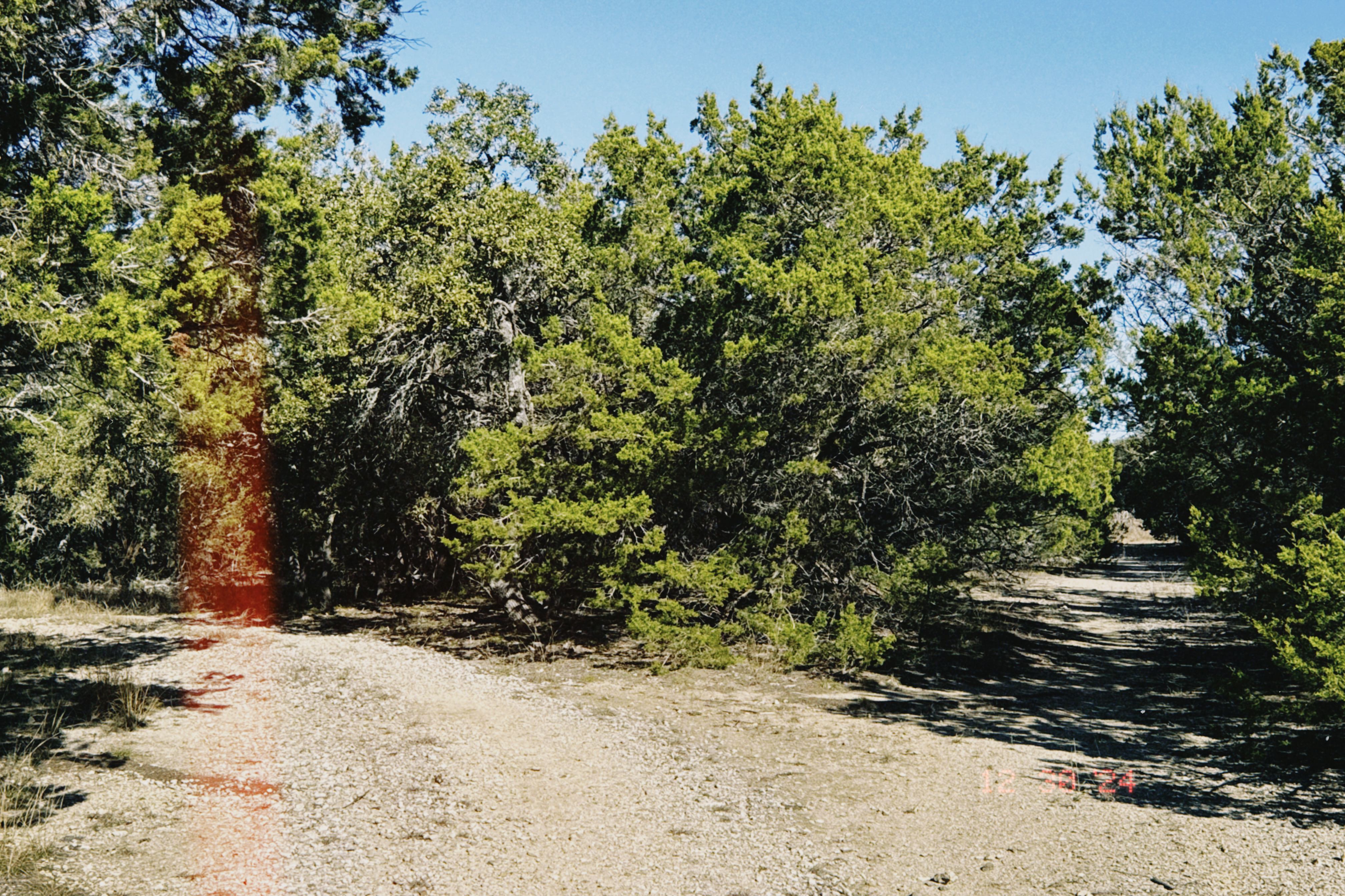 Rainbow Ranch Photo 13