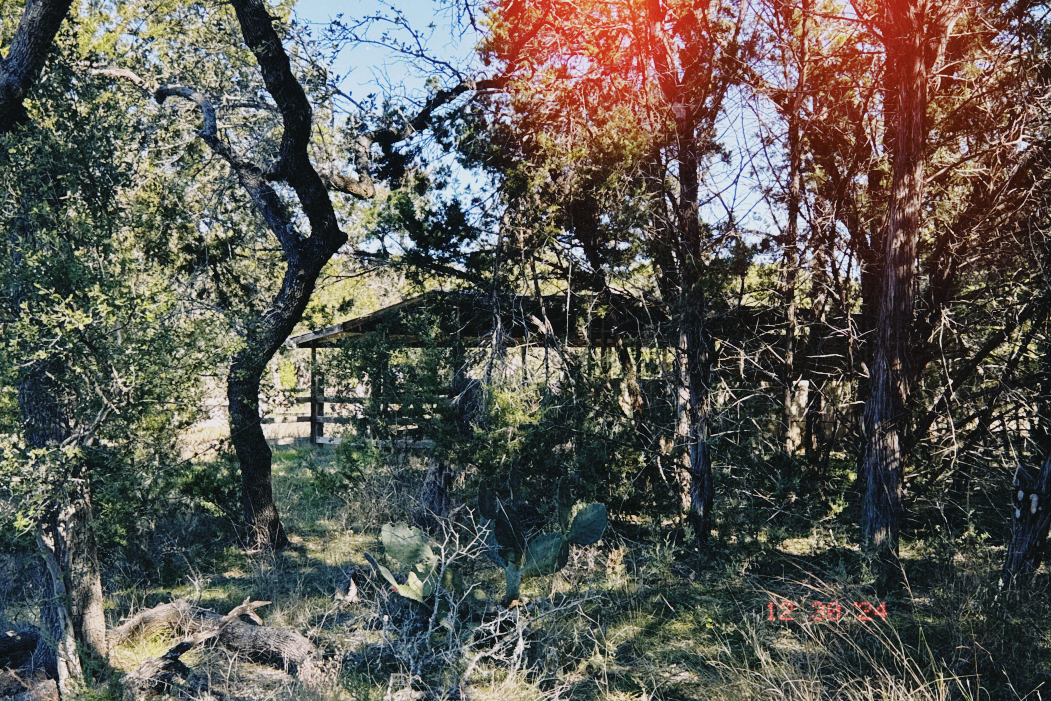 Rainbow Ranch Photo 24