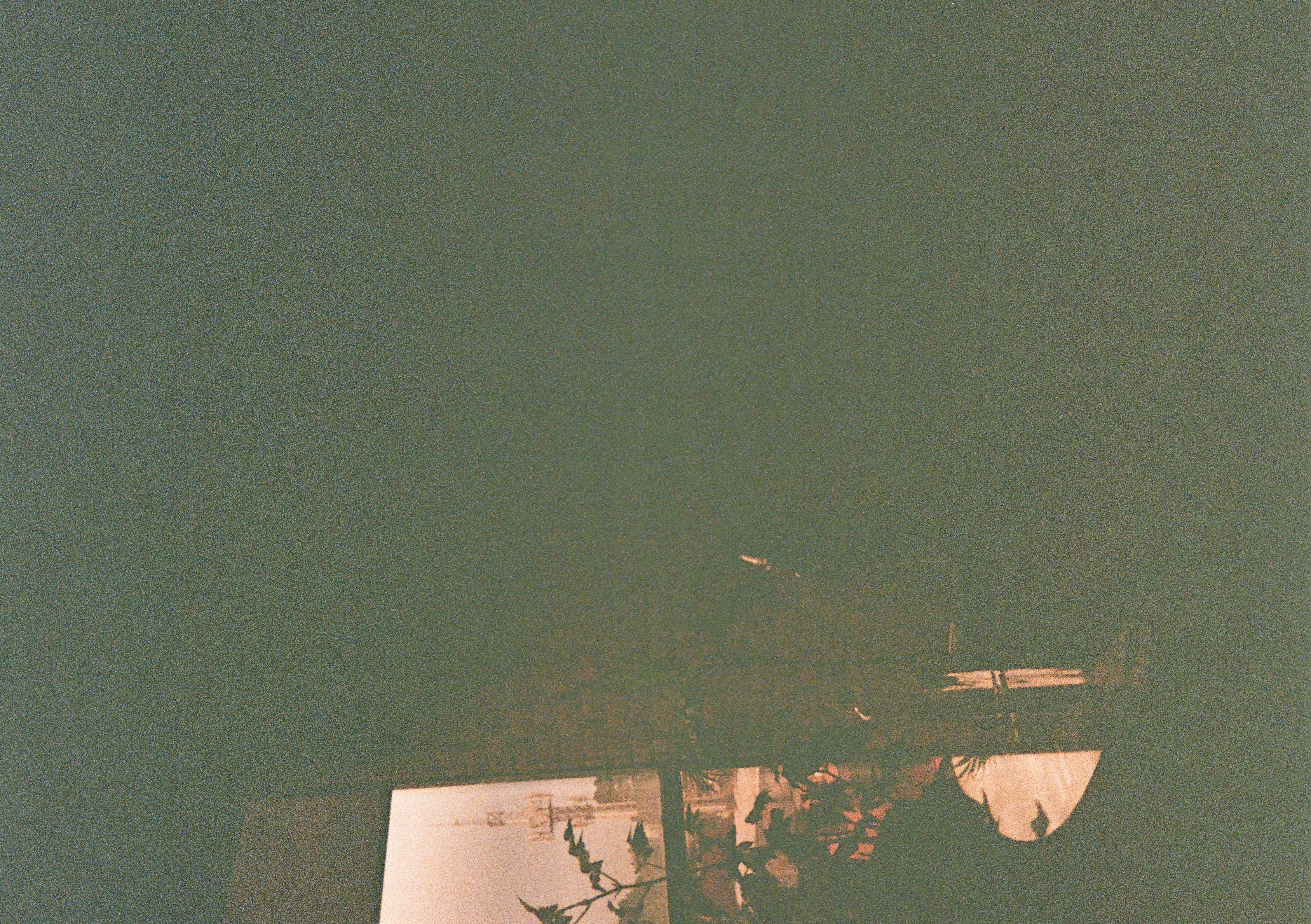 Summer 2025 Photo 16