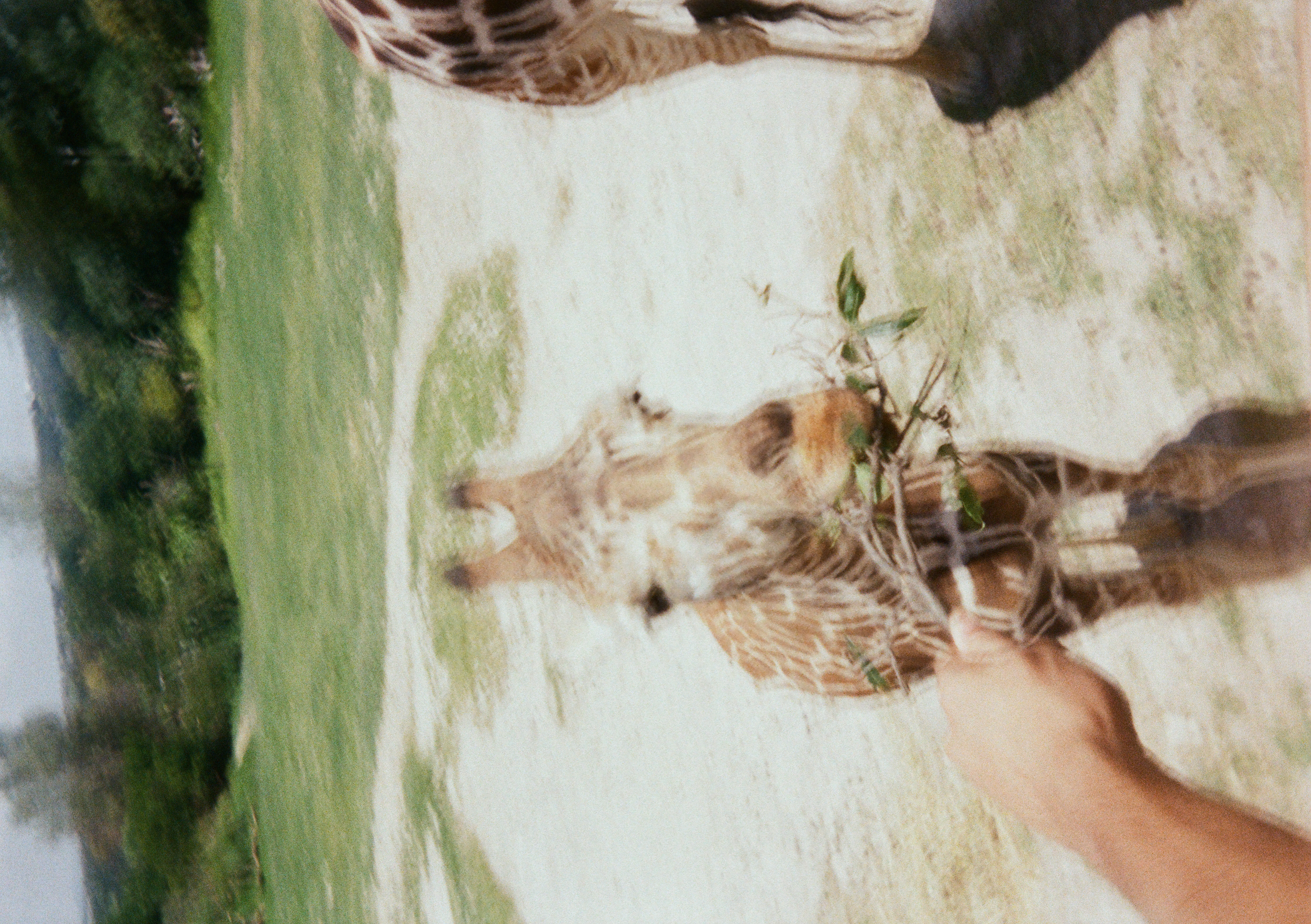 Summer 2025 Photo 25