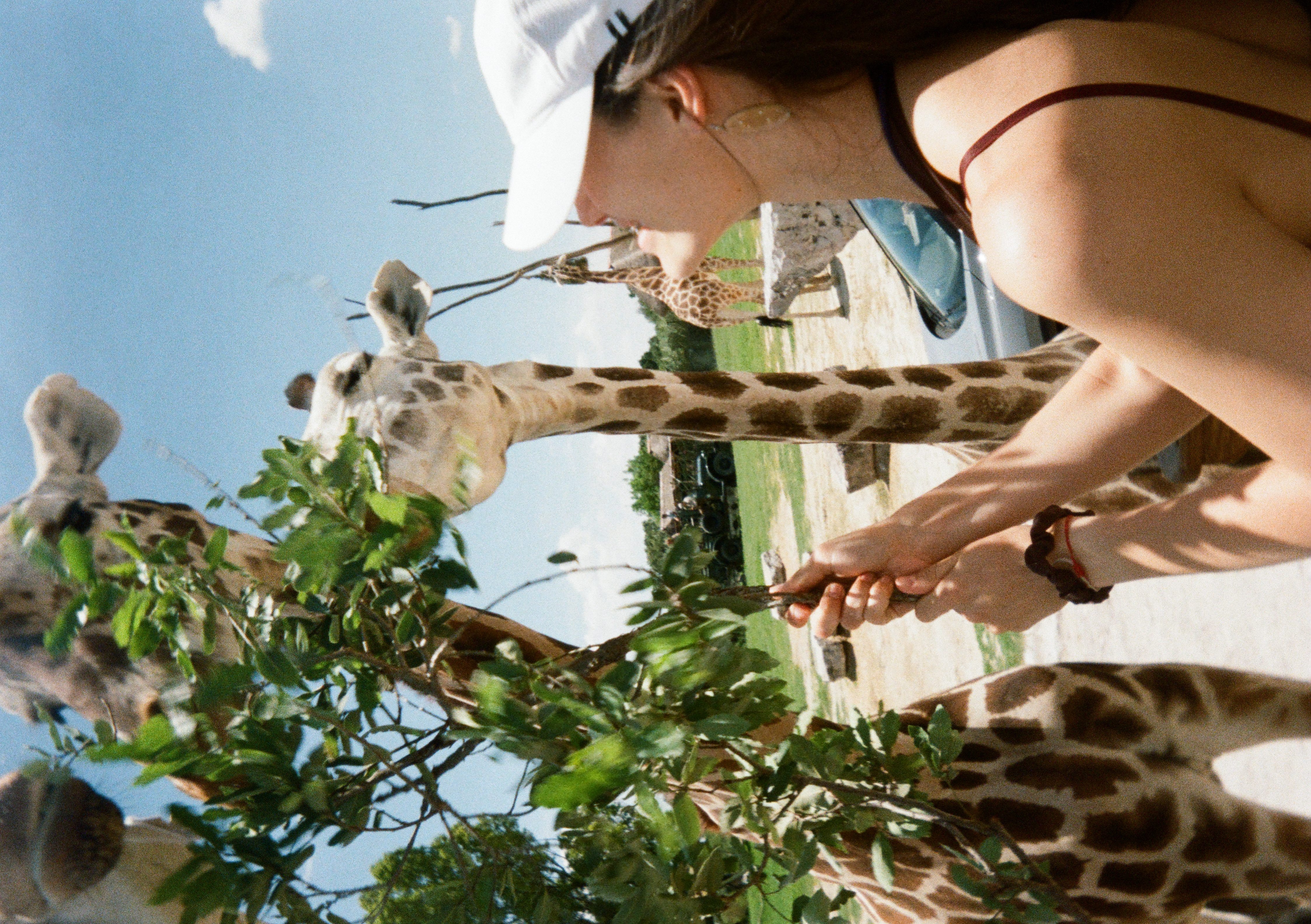 Summer 2025 Photo 26