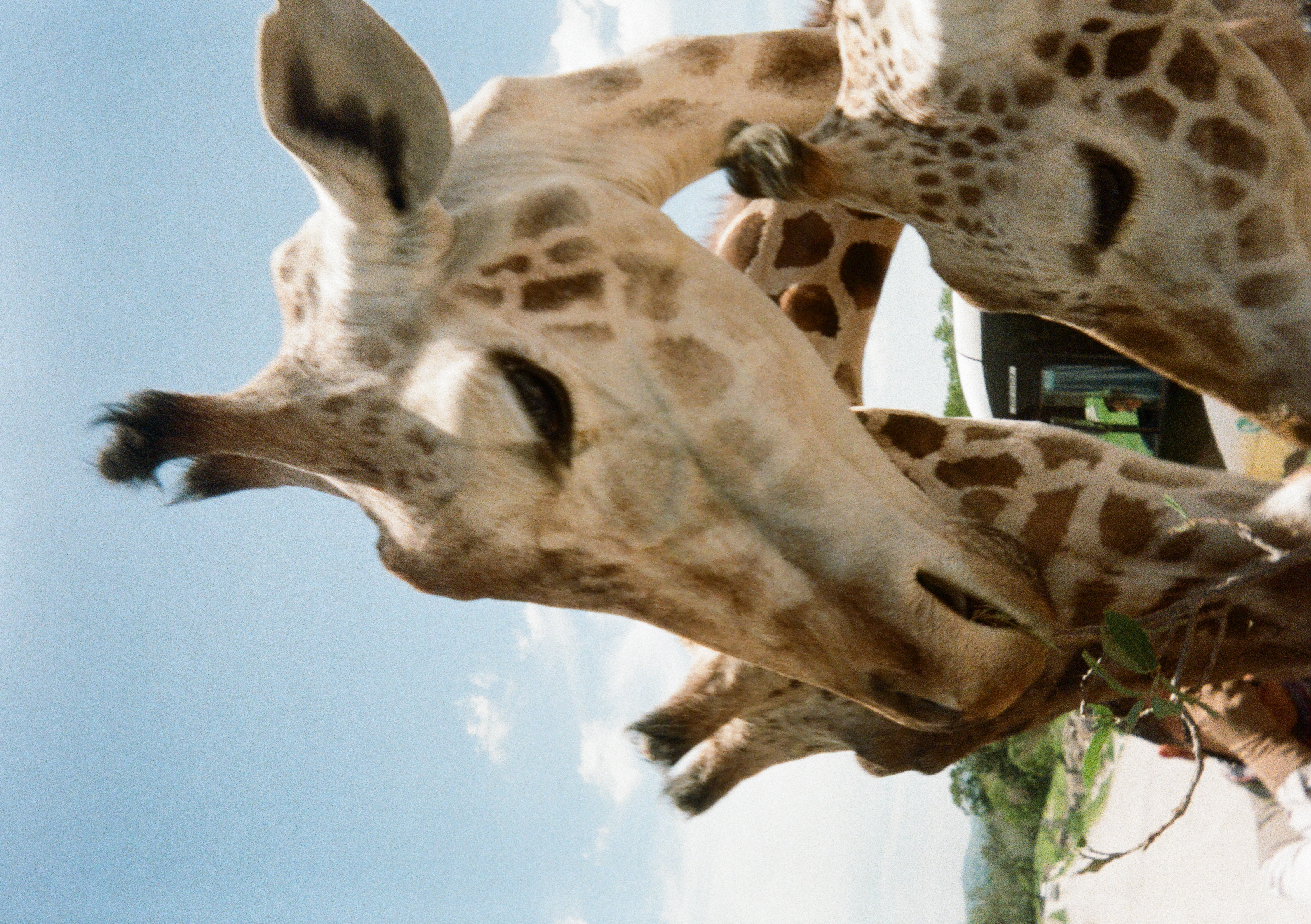 Summer 2025 Photo 28