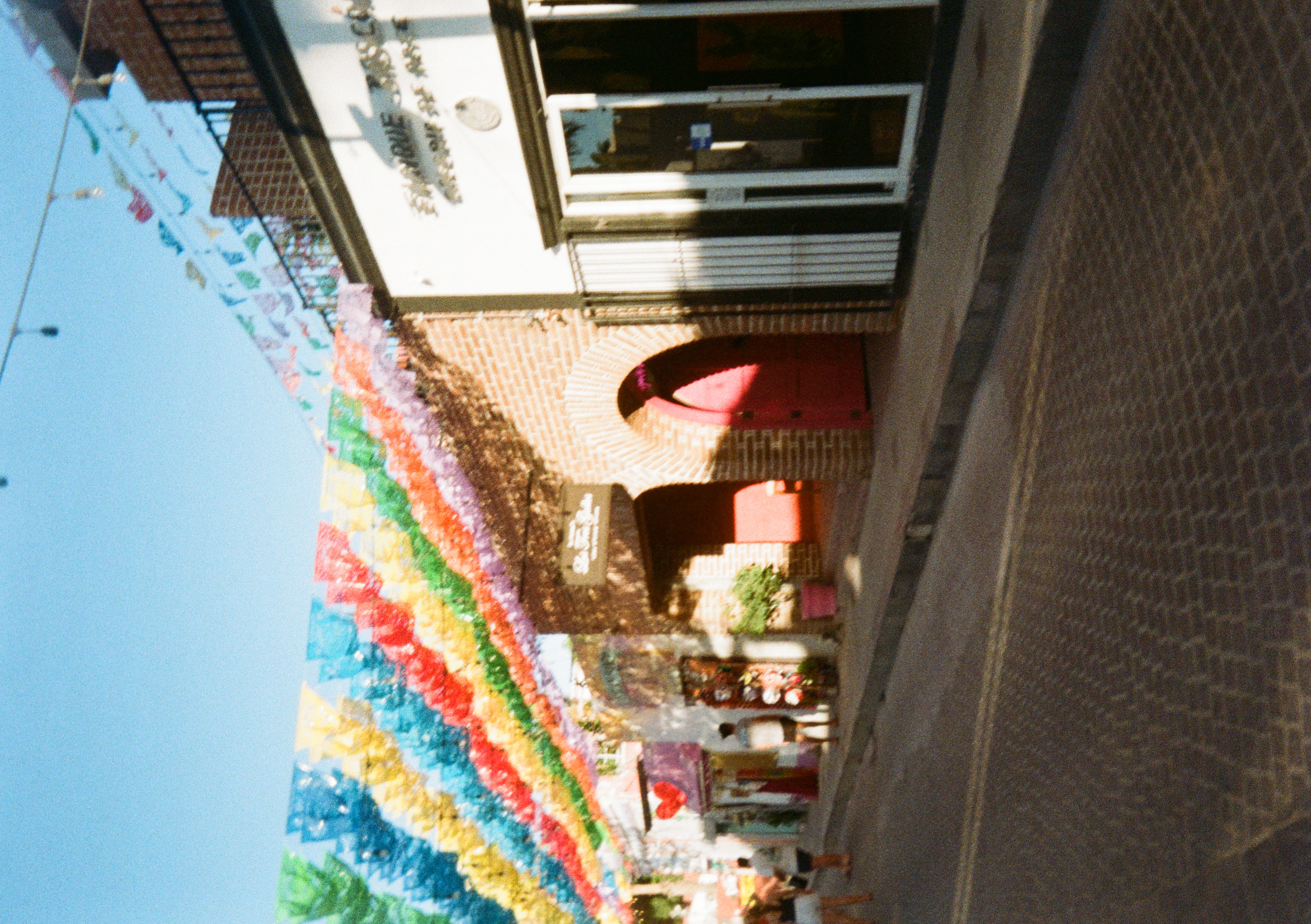 Summer 2025 Photo 53